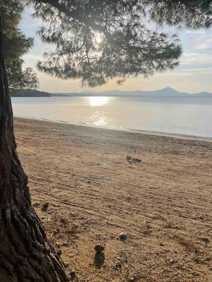 Μοντέρνα Εξοχική Μονοκατοικία Με Ιδιωτική Πισίνα! Khalkoutsion Exterior photo