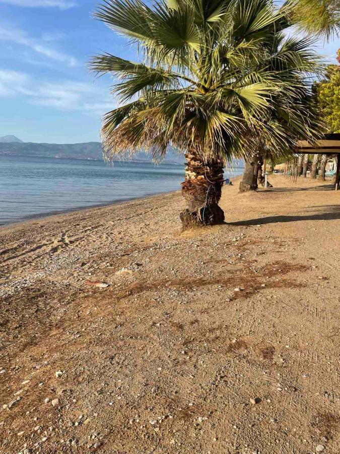 Μοντέρνα Εξοχική Μονοκατοικία Με Ιδιωτική Πισίνα! Khalkoutsion Exterior photo